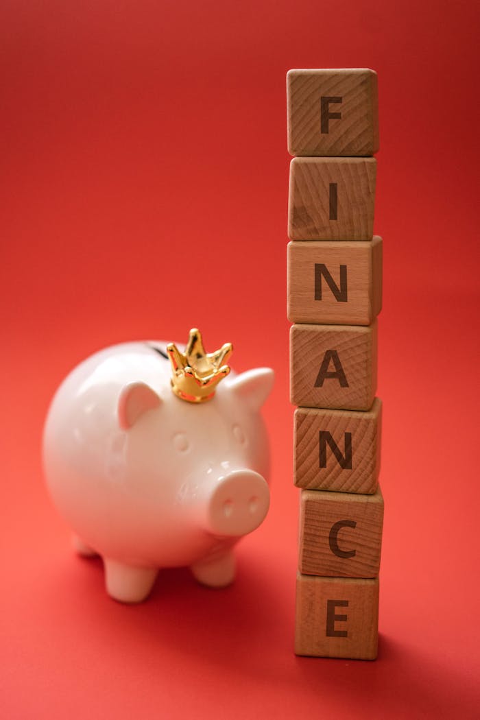A piggy bank wearing a crown sits beside wooden blocks spelling 'FINANCE' on a red backdrop.